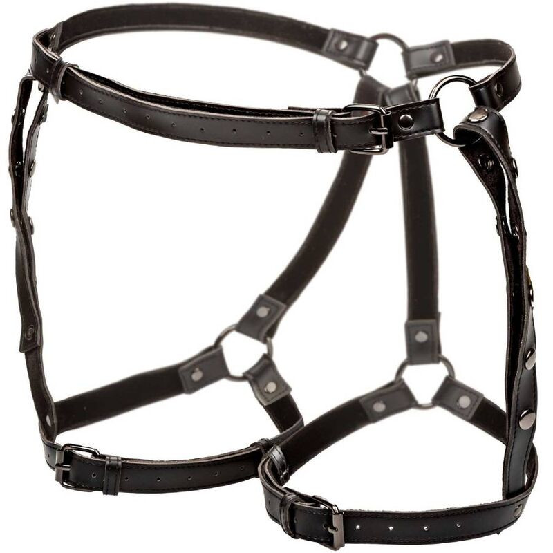 CALEXOTICS - EUPHORIA PLUS SIZE RIDING THIGH HARNESS 3 