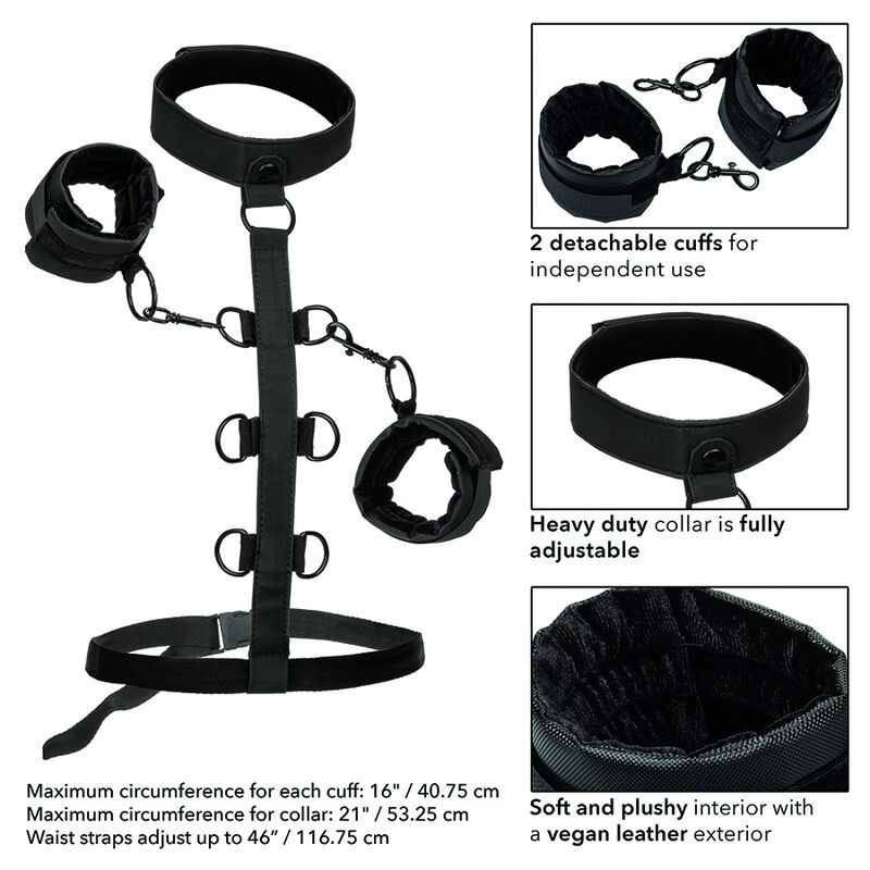 CALEXOTICS - BOUNDLESS COLLAR BODY RESTRAINT 5 