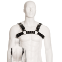 LEATHER BODY - SCHWARZ BULL DOG HARNESS 1 