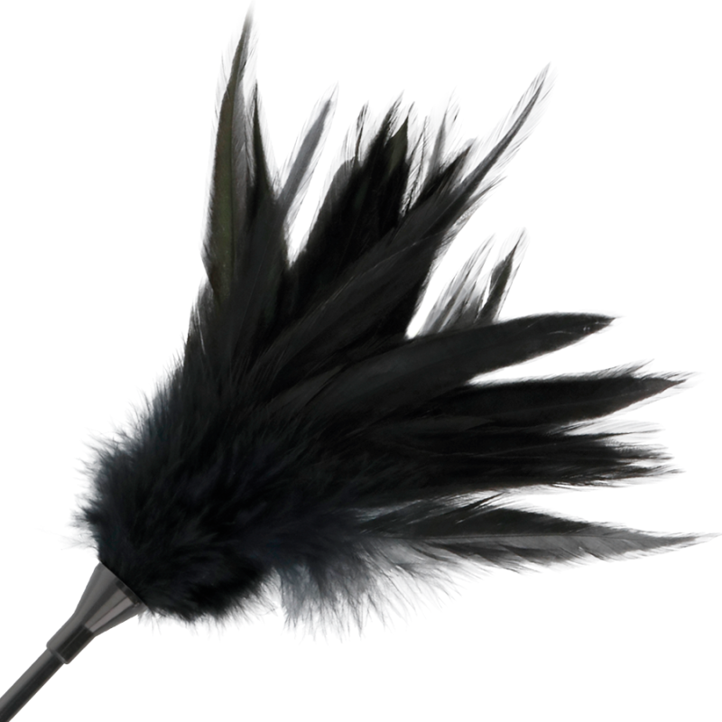 DARKNESS - BLACK FEATHER WHIP 2 