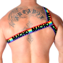 MACHO - RÖMISCHES GESCHIRR PRIDE S/M 8 