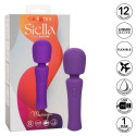 CALEXOTICS - STELLA MASSAGER VIOLET 1 