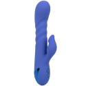 CALEXOTICS - LA LOVE VIBRATOR & SUCKER BLUE DI CALIFORNIA DREAMING 3 