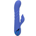 CALEXOTICS - L.A LOVE VIBRATOR & SUCKER BLUE BY CALIFORNIA DREAMING 4 