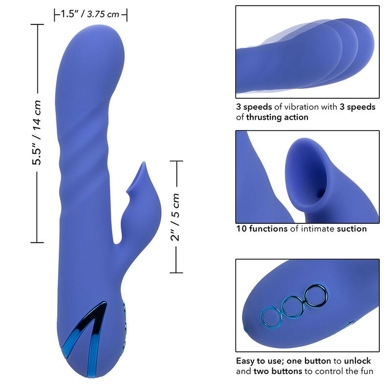 CALEXOTICS - L.A LOVE VIBRATOR & SUCKER BLUE BY CALIFORNIA DREAMING 8 