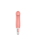 SATISFYER - VIBE MAÎTRE 4 