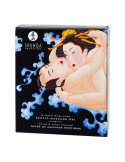 SHUNGA - GEL DE MASSAGE ÉROTIQUE ORIENTAL CORPS À CORPS AUX FRUITS EXOTIQUES 1 