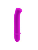 PRETTY LOVE - FLIRTATION VIBRATEUR ANTONY 9 