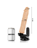 BASECOCK - VIBRATEUR RÉALISTE TÉLÉCOMMANDE NATUREL 21 CM -O- 4 CM 6 