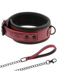 FETISH SUBMISSIVE DARK ROOM - COLLANA A CATENA CON FODERA IN NEOPRENE 10 