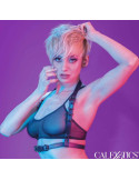 CALEXOTICS - EUPHORIA HALTER BUCKLE HARNESS BLACK 6 