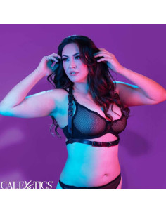 CALEXOTICS - EUPHORIA PLUS SIZE HALTER BUCKLE HARNESS SCHWARZ 6 