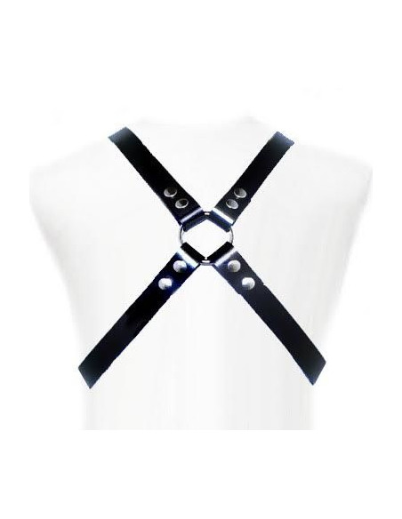 LEATHER BODY - BASIC HARNESS 1 