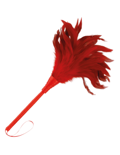 DARKNESS - ROTER STIMULIERENDER STIFT 24CM 4 