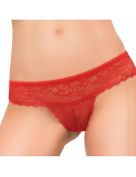 CHILIROSE - CR 3853 CULOTTE ROUGE S/M 3 