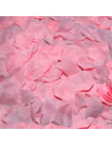 SPICY DEVIL - 100 PINK PETALS 1 