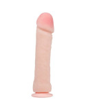 BAILE - THE BIG PENIS NATURAL REALISTIC DILDO 26 CM 5 