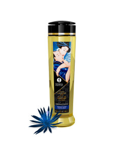 SHUNGA - SEDUCTION EROTIC MASSAGE OIL 240 ML 1 