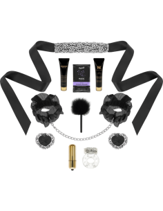 SECRET ROOM - PLEASURE KIT SILBER STUFE 1 9 