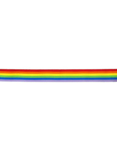 PRIDE - LGBT FLAG STRIP 1 