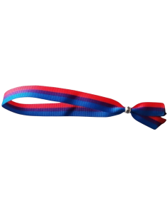 PRIDE - BISEXUELLES ARMBAND 1 