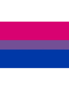 PRIDE - BRACELET DRAPEAU BISEXUEL 90 X 150 1 