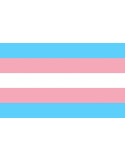 PRIDE - TRANSSEXUELLE FLAGGE 90 X 150 1 