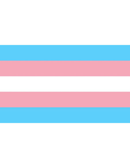 PRIDE - TRANSSEXUELLE FLAGGE 90 X 150 1 