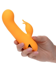 CALEXOTICS - MONTECITO MUSE VIBRATEUR LAPIN ORANGE PAR CALIFORNIA DREAMING 10 