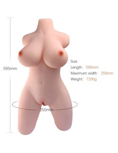 ARMONY - REALISTIC FEMALE TORSO MODEL 2